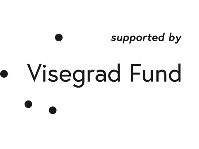 logo visegrad