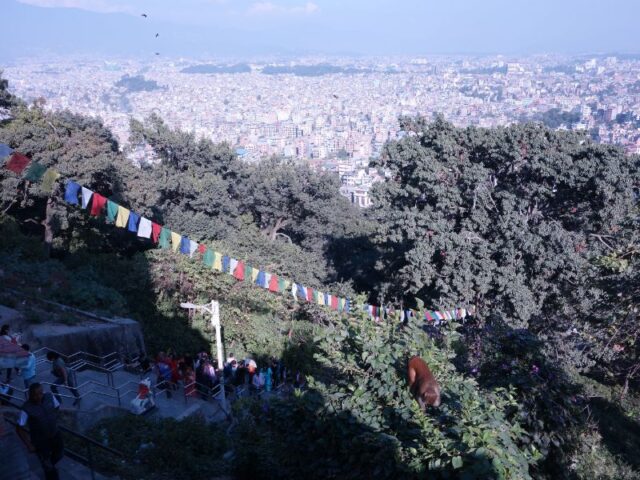 DSC06185