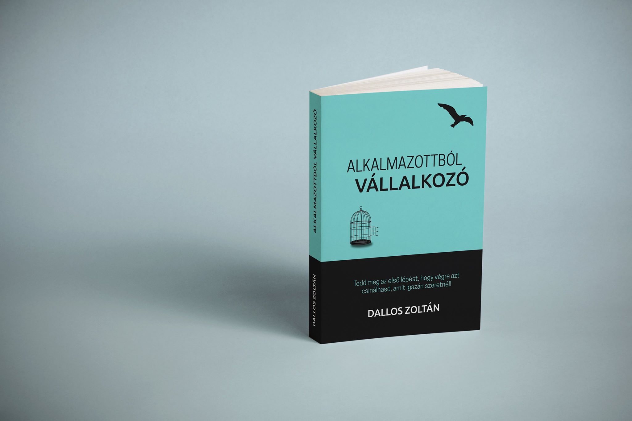 Könyvajánló: Dallos Zoltán – Alkalmazottból vállalkozó