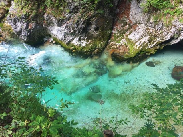 PataiM_JUF11_11