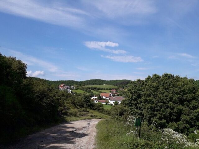 BorosE_JUF13_11
