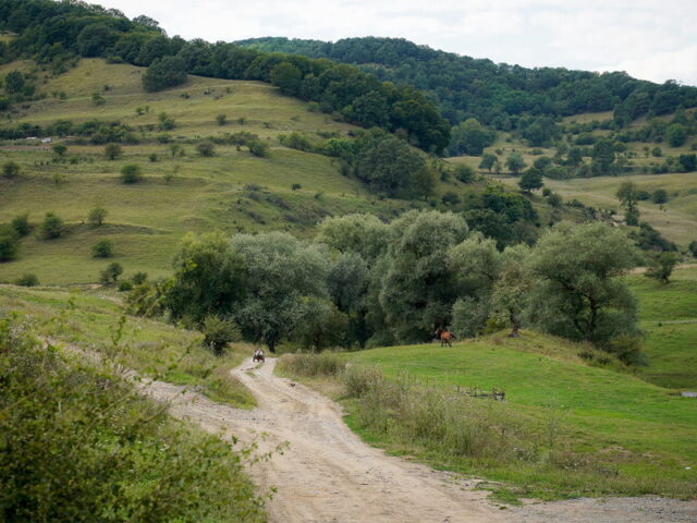 BálintFGy_JUF15_10