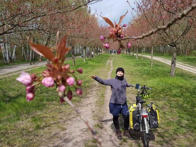 BorosE_JUF15_3