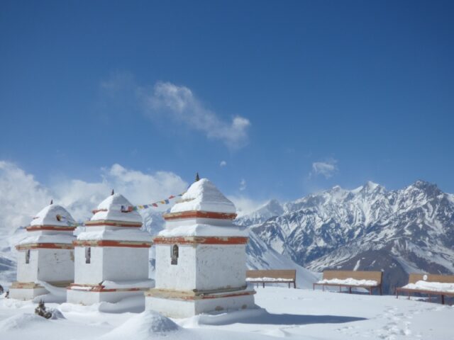 BalassaV_JUF15_11