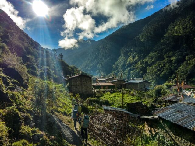 AshutoshSehgal_JUF16_8