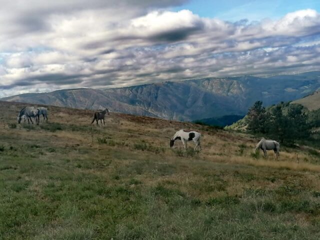KarmanK_JUF16_5