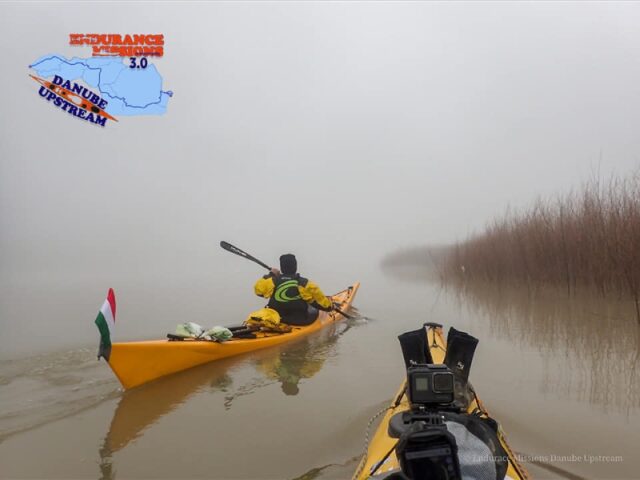 KisKVargaJR_JUF16_8
